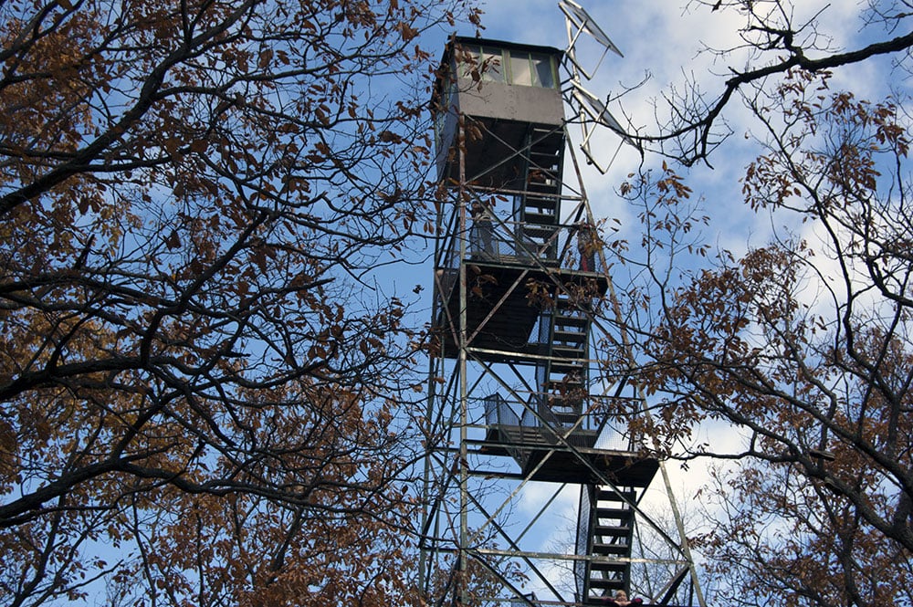 Cook Forest Fire Tower
